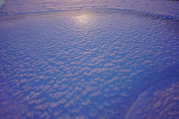 Snow Field Hokkaido — Stock Photo, Image