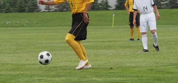 Fútbol Japón — Foto de Stock