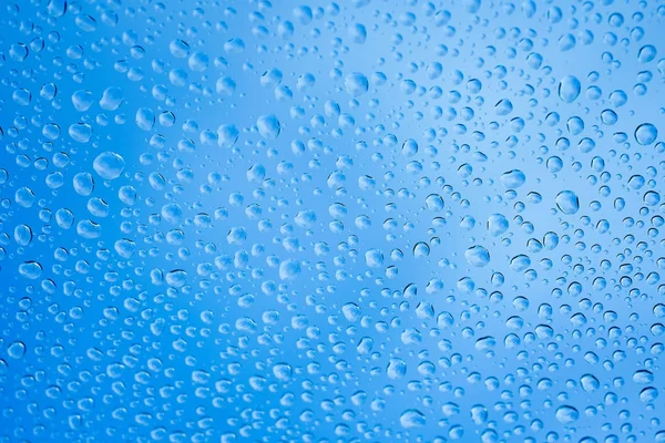 Rain Drop Winter — Stock Photo, Image