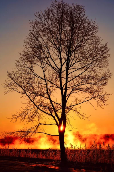 Landskap Vinter Hokkaido — Stockfoto