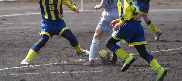 Fútbol Japón — Foto de Stock