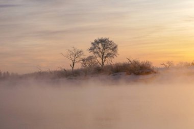 Kış hokkaido manzara
