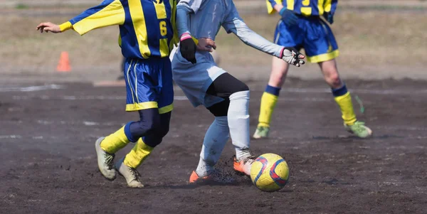 Football Soccer Japan — Stock Photo, Image