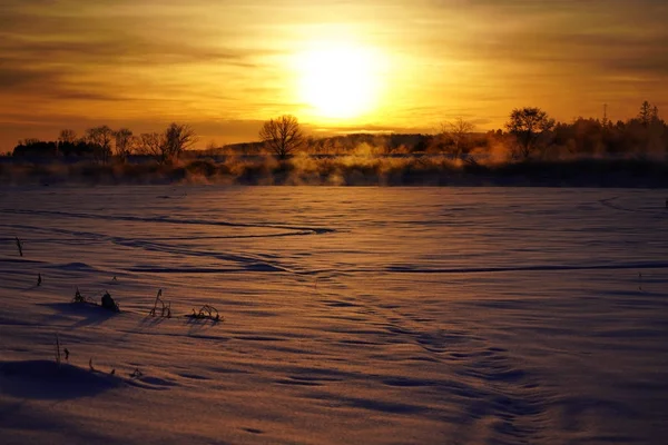 Nascer Sol Inverno Hokkaido — Fotografia de Stock