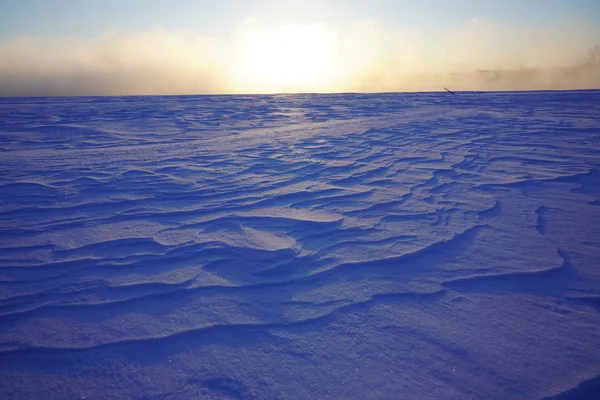 Krajobraz Dziedzinie Zima — Zdjęcie stockowe