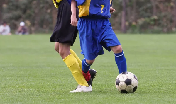 Velho homem e menino jogando futebol no parque de verão fotos, imagens de ©  Syda_Productions #271019712