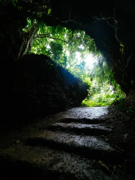 Selva Ilha Ishigaki — Fotografia de Stock