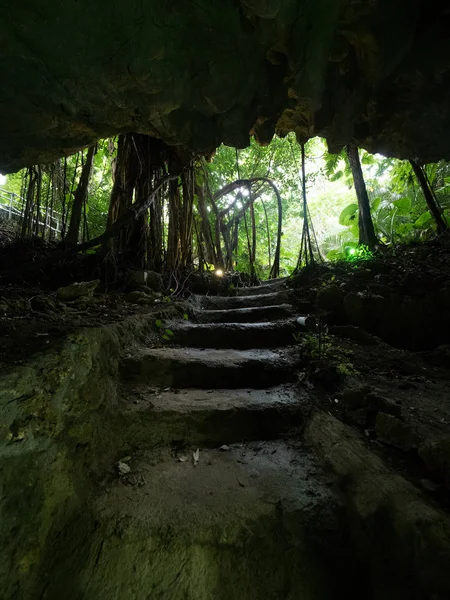 Ishigaki Island'da mağara
