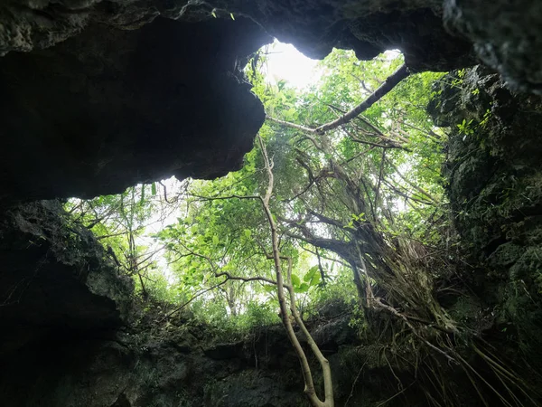 Grotte Dans Île Ishigaki — Photo