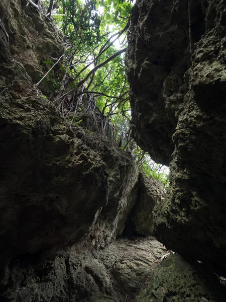 Landschap Yonaguni Eiland — Stockfoto