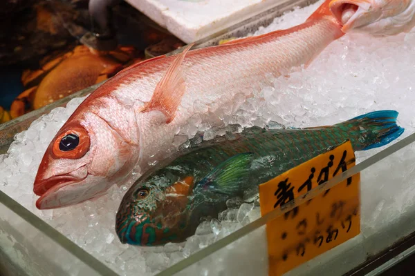 Mercado Peixe Okinawa — Fotografia de Stock