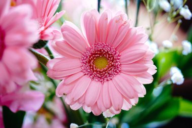 buket pembe gerbera