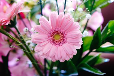 buket pembe gerbera
