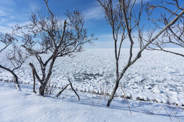 Gelo Deriva Hokkaido — Fotografia de Stock