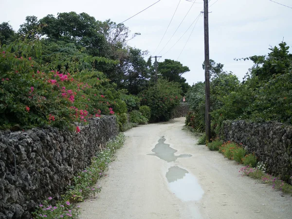 Krajobraz Lato Okinawa — Zdjęcie stockowe