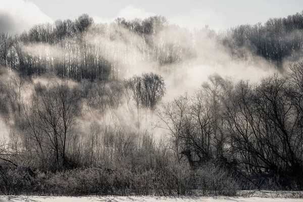 Bos Mist Winer Hokkaido — Stockfoto