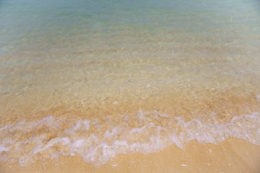 Dalga Beach temizlemek