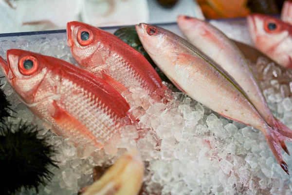 沖縄の魚市場 — ストック写真