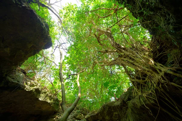 Cueva Piedra Caliza Ishigaki Isla — Foto de Stock