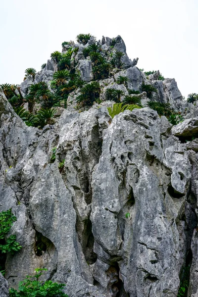 Gran Montaña Rocosa Okinawa —  Fotos de Stock