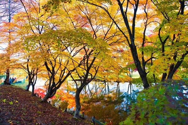Осенние Листья Парке Симидзу — стоковое фото