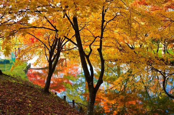 Herbstlaub Shimizu Park — Stockfoto