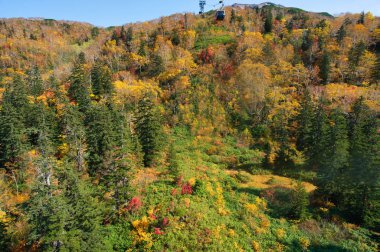 Sonbaharda Hokkaido Dağı 'nda.