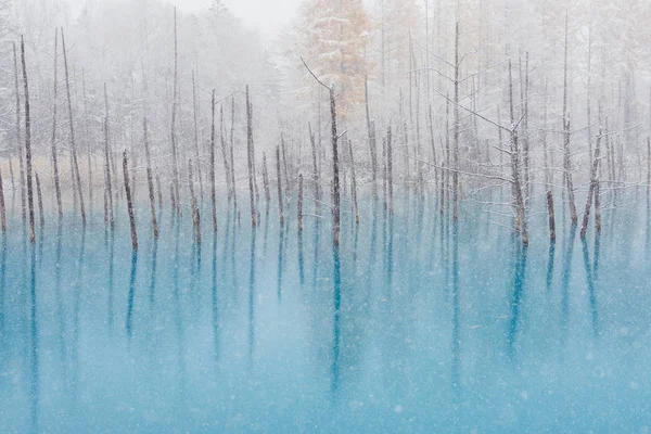 Lagoa Azul Hokkaido — Fotografia de Stock