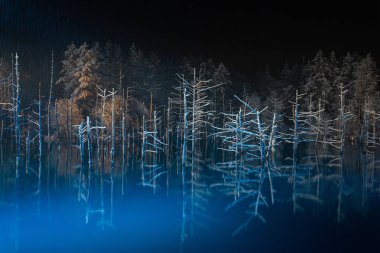Kış gecesinde mavi gölet
