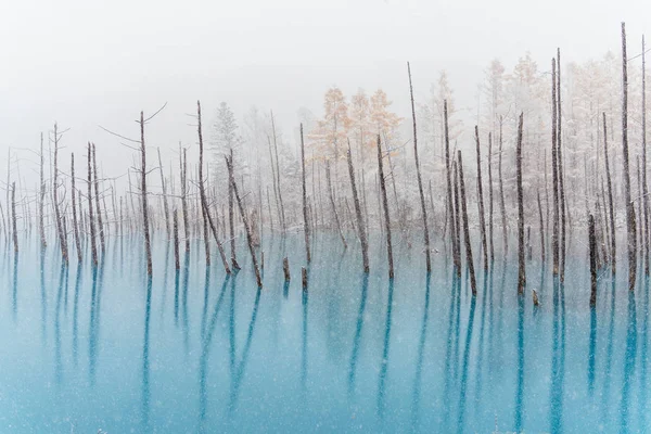 Estanque Azul Invierno Hokkaido —  Fotos de Stock