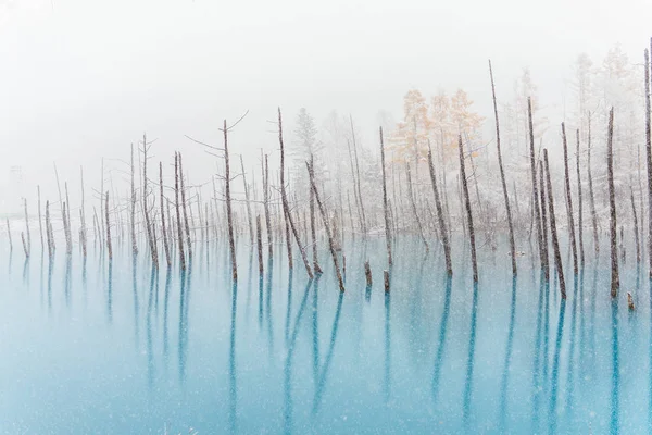Μπλε Λίμνη Χειμώνα Hokkaido — Φωτογραφία Αρχείου