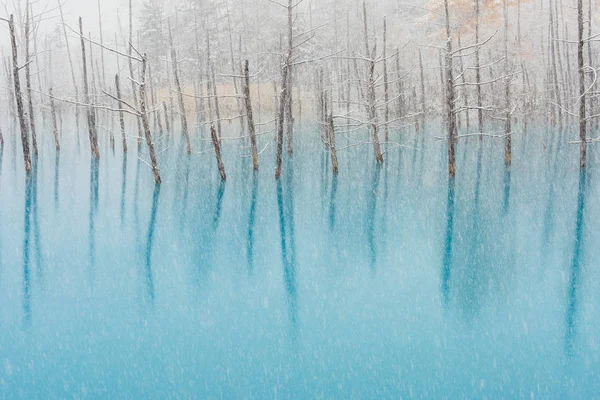 Estanque Azul Invierno Hokkaido —  Fotos de Stock