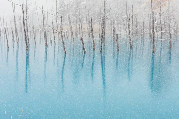 Estanque Azul Invierno Hokkaido —  Fotos de Stock