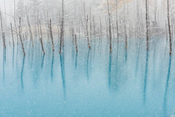 Estanque Azul Invierno Hokkaido —  Fotos de Stock