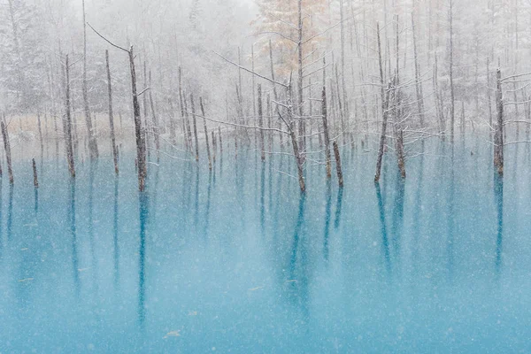 Μπλε Λίμνη Χειμώνα Hokkaido — Φωτογραφία Αρχείου