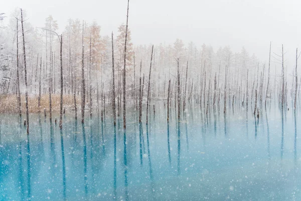 Голубой Пруд Зимой Хоккайдо — стоковое фото