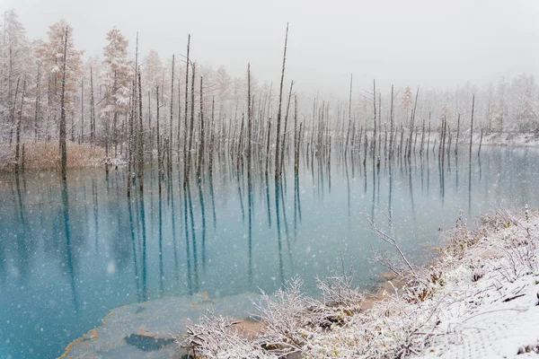 Μπλε Λίμνη Χειμώνα Hokkaido — Φωτογραφία Αρχείου