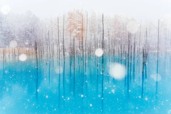 Lagoa Azul Inverno Hokkaido — Fotografia de Stock