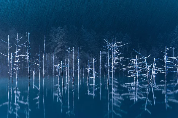 Étang Bleu Dans Nuit Hiver — Photo