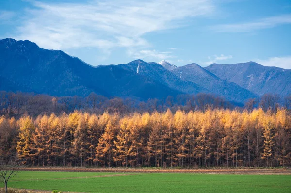 Landscape Autumn Hokkaido — Stock Photo, Image