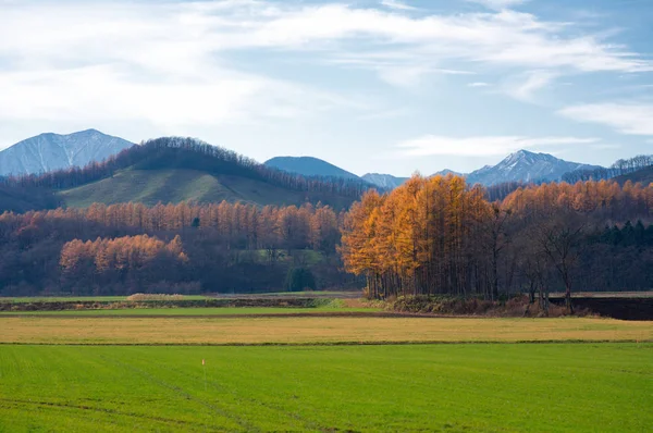 Landscape Autumn Hokkaido — Stock Photo, Image