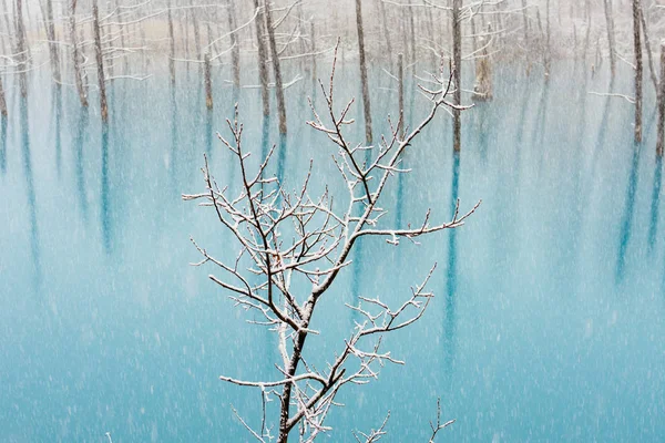 冬季北海道的蓝色池塘 — 图库照片