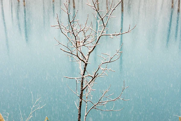 Blue Pond Winter Hokkaido — Stock Photo, Image