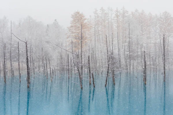Lagoa Azul Inverno Hokkaido — Fotografia de Stock