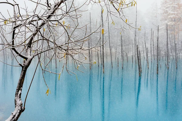 Синій Ставок Взимку Хоккайдо — стокове фото