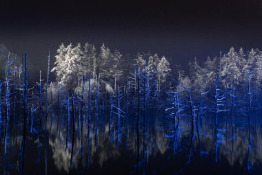 Gecenin mavi göleti