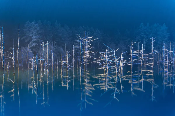 Étang Bleu Dans Nuit — Photo