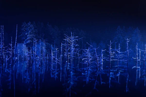Lagoa Azul Noite — Fotografia de Stock