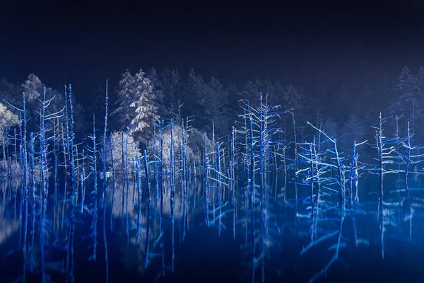 Étang Bleu Dans Nuit — Photo