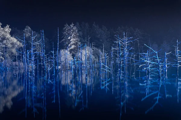 Étang Bleu Dans Nuit — Photo